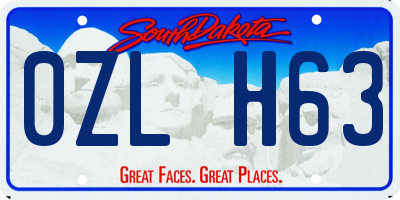 SD license plate 0ZLH63
