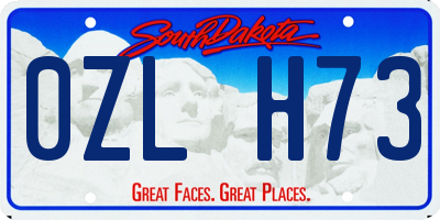SD license plate 0ZLH73