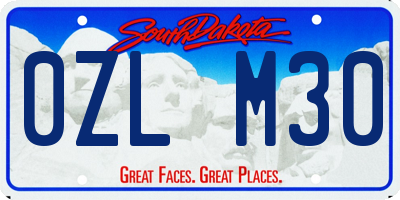 SD license plate 0ZLM30