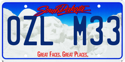 SD license plate 0ZLM33