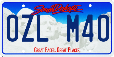 SD license plate 0ZLM40