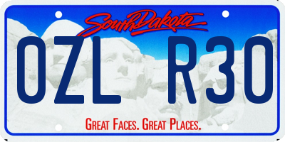 SD license plate 0ZLR30