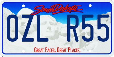 SD license plate 0ZLR55