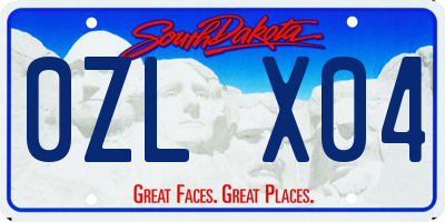 SD license plate 0ZLX04