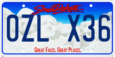 SD license plate 0ZLX36