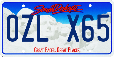 SD license plate 0ZLX65