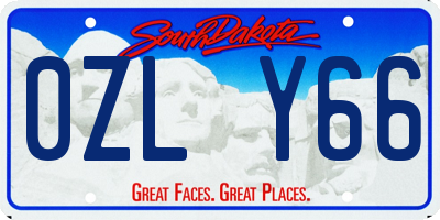 SD license plate 0ZLY66