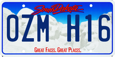 SD license plate 0ZMH16