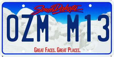 SD license plate 0ZMM13