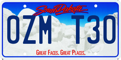 SD license plate 0ZMT30