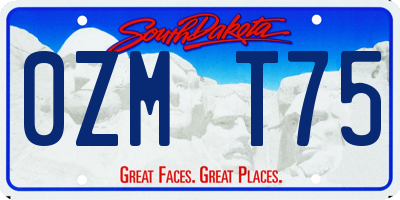 SD license plate 0ZMT75
