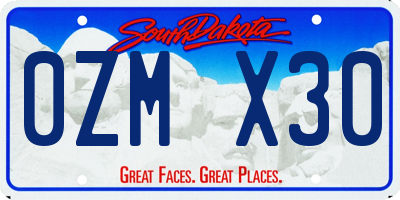 SD license plate 0ZMX30