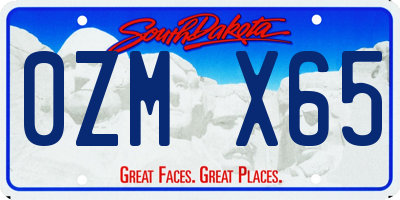 SD license plate 0ZMX65