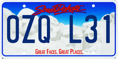 SD license plate 0ZQL31