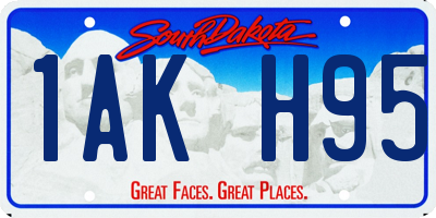 SD license plate 1AKH95