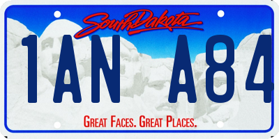 SD license plate 1ANA84