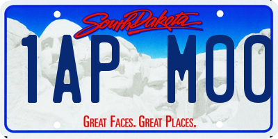 SD license plate 1APM00