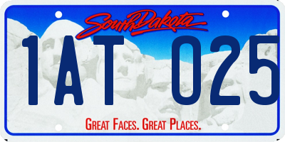 SD license plate 1ATO25