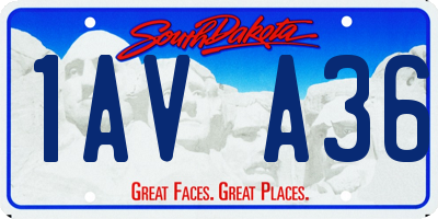 SD license plate 1AVA36