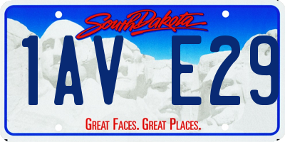 SD license plate 1AVE29