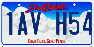 SD license plate 1AVH54