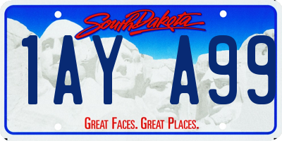 SD license plate 1AYA99