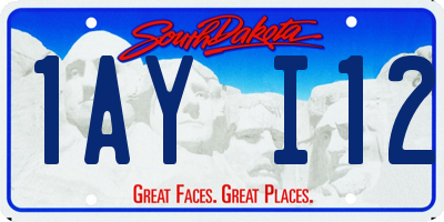 SD license plate 1AYI12