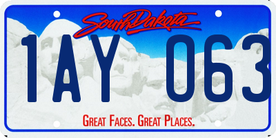 SD license plate 1AYO63