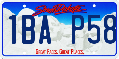 SD license plate 1BAP58