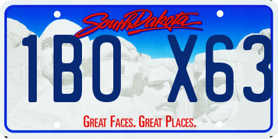 SD license plate 1BOX63