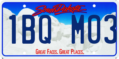 SD license plate 1BQM03