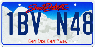 SD license plate 1BVN48