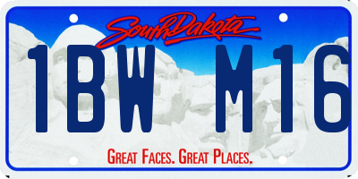 SD license plate 1BWM16