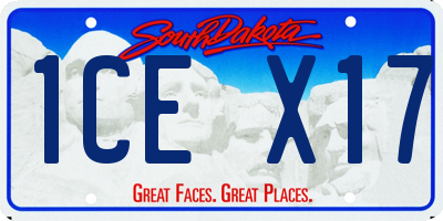 SD license plate 1CEX17