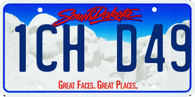 SD license plate 1CHD49