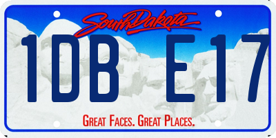 SD license plate 1DBE17