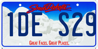 SD license plate 1DES29