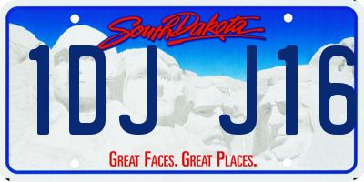 SD license plate 1DJJ16