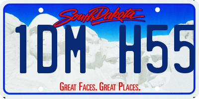 SD license plate 1DMH55