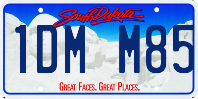 SD license plate 1DMM85