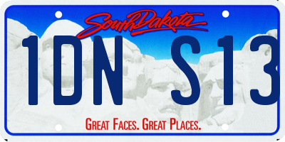 SD license plate 1DNS13