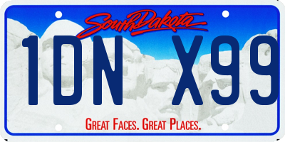 SD license plate 1DNX99