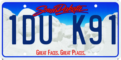 SD license plate 1DUK91