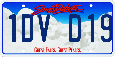 SD license plate 1DVD19