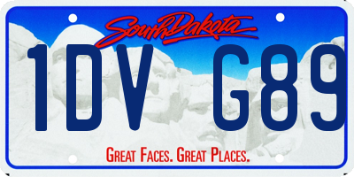 SD license plate 1DVG89
