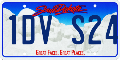 SD license plate 1DVS24