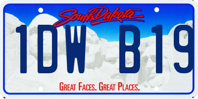 SD license plate 1DWB19