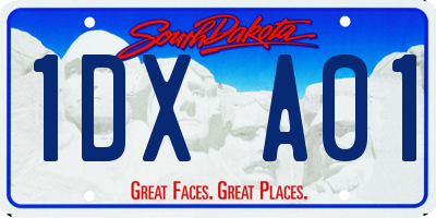 SD license plate 1DXA01