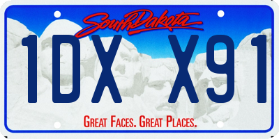 SD license plate 1DXX91