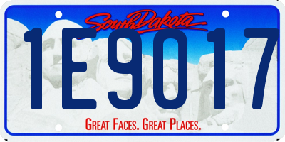 SD license plate 1E9017